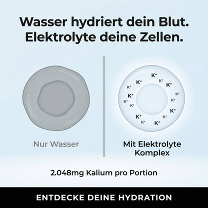 Elektrolyte Komplex Starter Paket